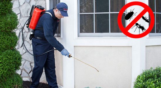 Kilimli Kene İlaçlama böcek ilaçlama ve haşere kontrolü — ilaclama-tr.com